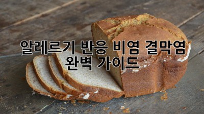 알레르기 반응 비염, 결막염 완벽 가이드