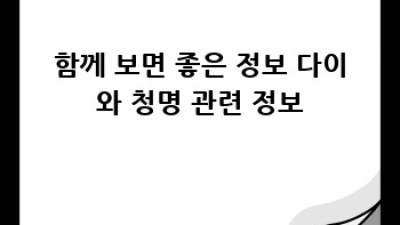다이와 청명: 완벽 활용 가이드