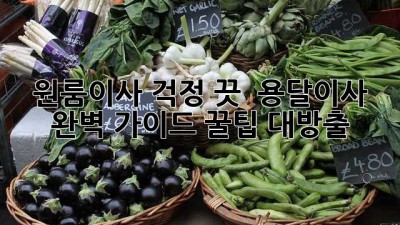 원룸이사 걱정 끗! 🚚 용달이사 완벽 가이드 꿀팁 대방출 🍯