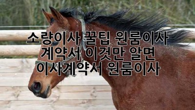 소량이사 꿀팁🍯: 원룸이사 계약서, 이것만 알면 👌! #이사계약서 #원룸이사