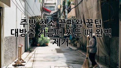 ✨ 주방 청소 끝판왕 꿀팁 대방출! 기름때, 찌든 때 완벽 제거! 🧼