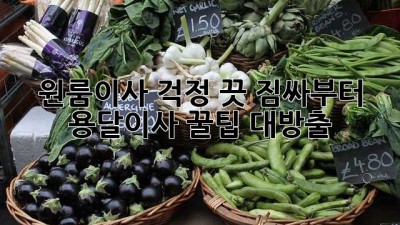 원룸이사 걱정 끗! 짐싸부터 용달이사 꿀팁 대방출🍯